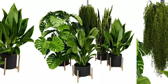 Collection plant vol 537 - blender model 