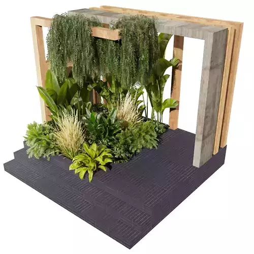 Collection plant vol 538 - garden - ivy - backyard 