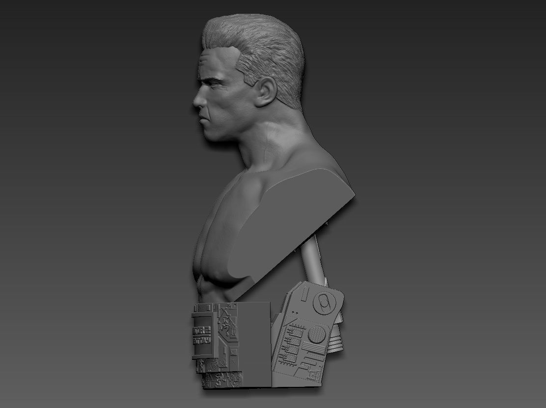 Terminator 2 Judgment Day 1991 Bust 3D print model_3