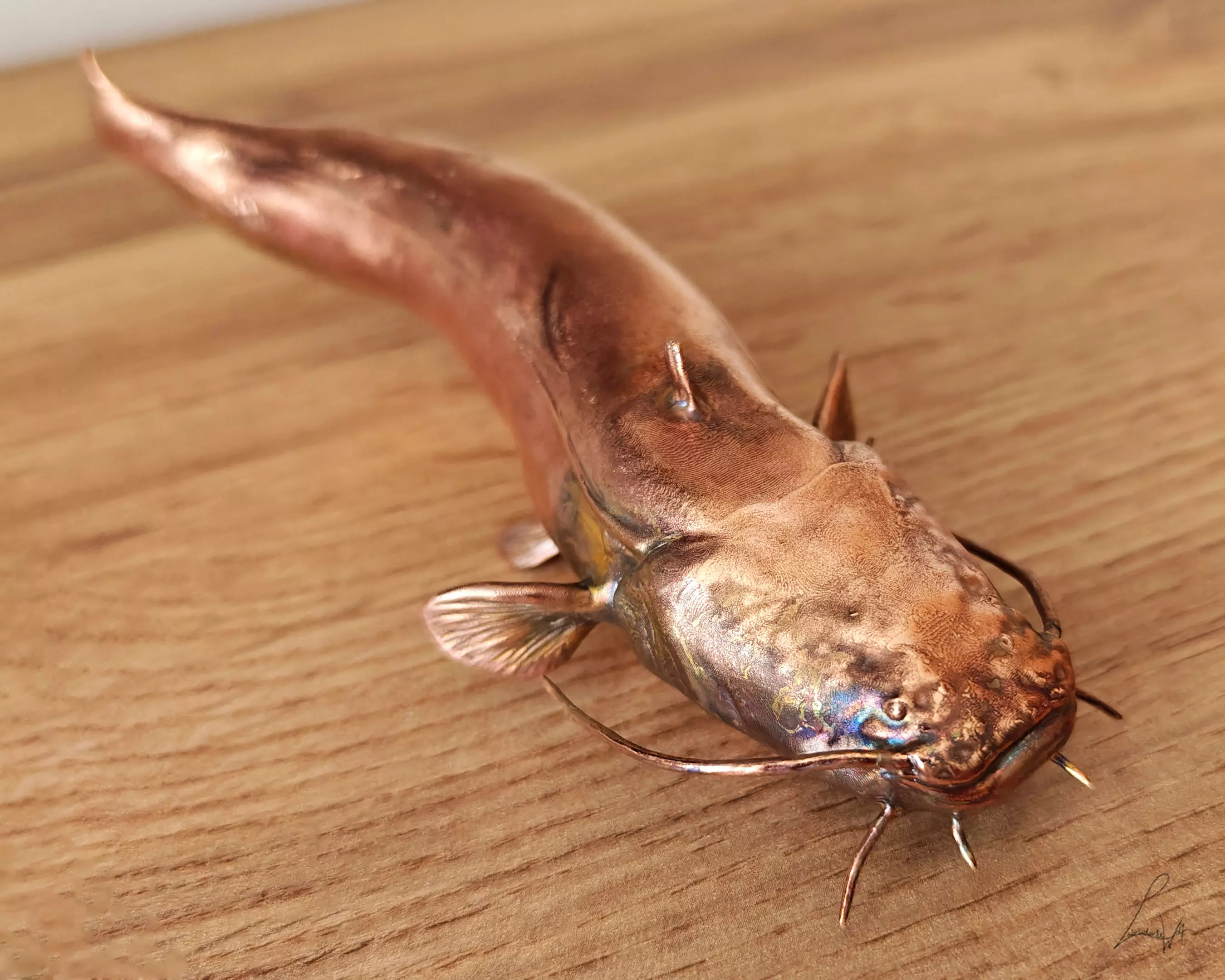 Wels Catfish 3D print model_0