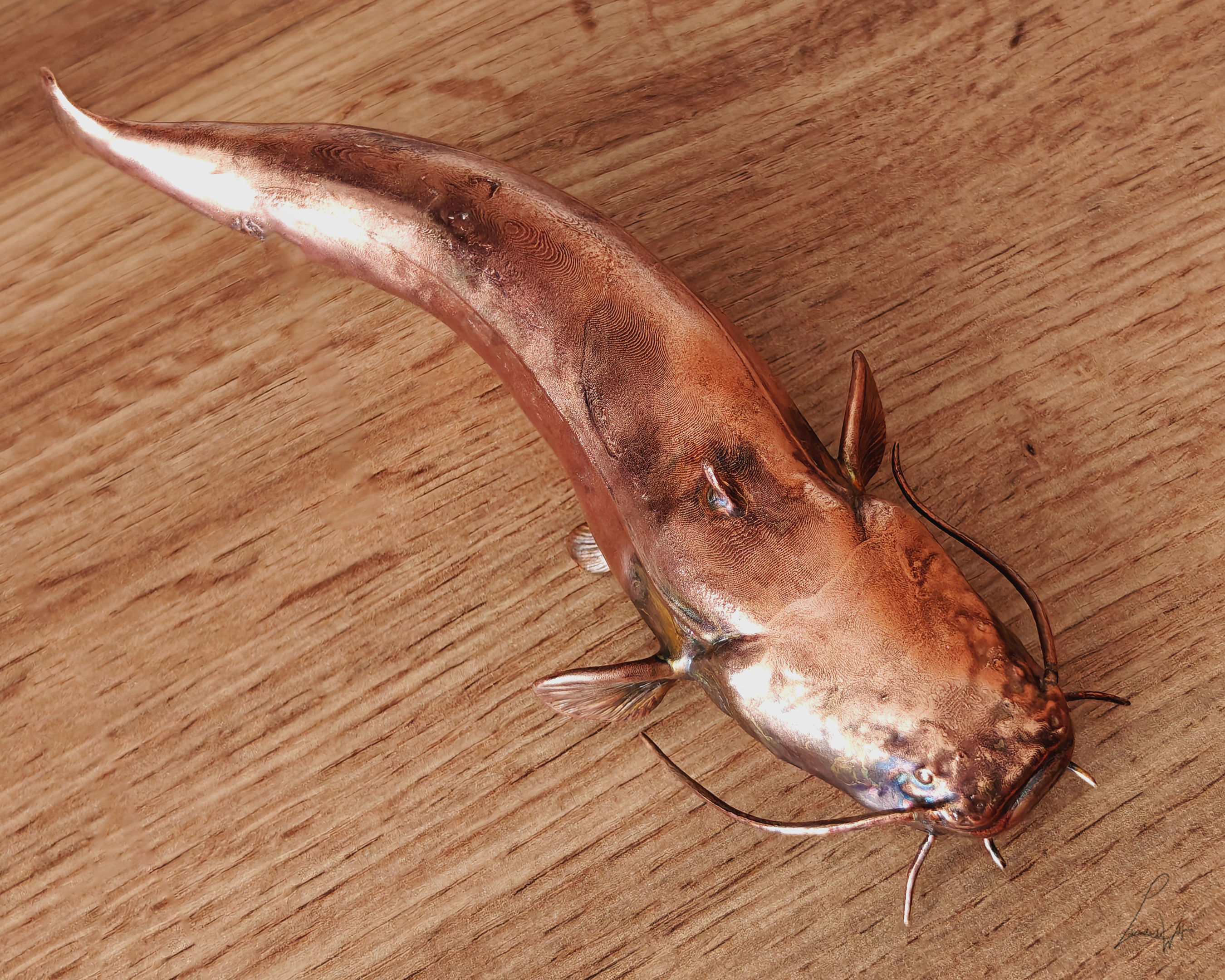 Wels Catfish 3D print model_3