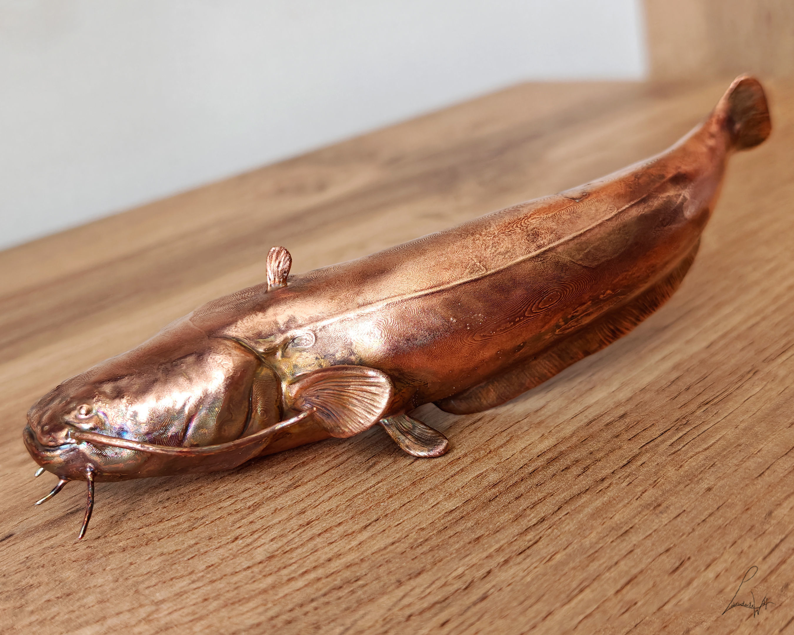 Wels Catfish 3D print model_4