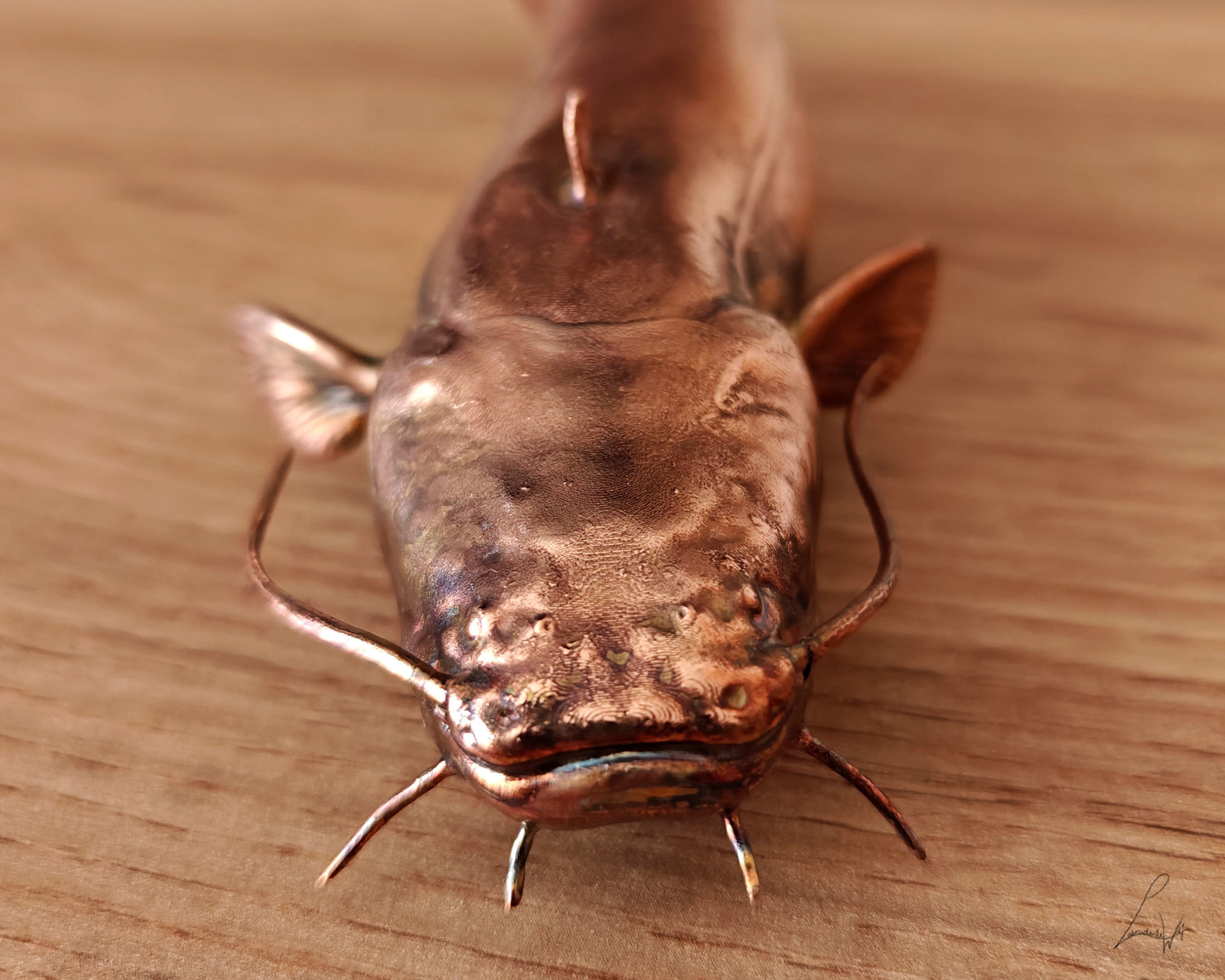 Wels Catfish 3D print model_5
