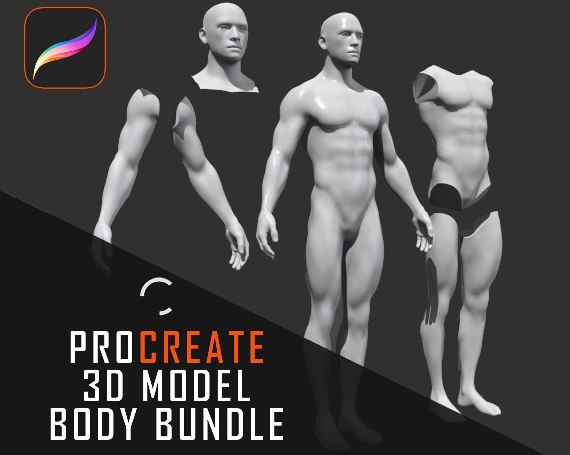 Procreate 3D Model SUPER Body bundle Male and Female Low-poly 3D model_2