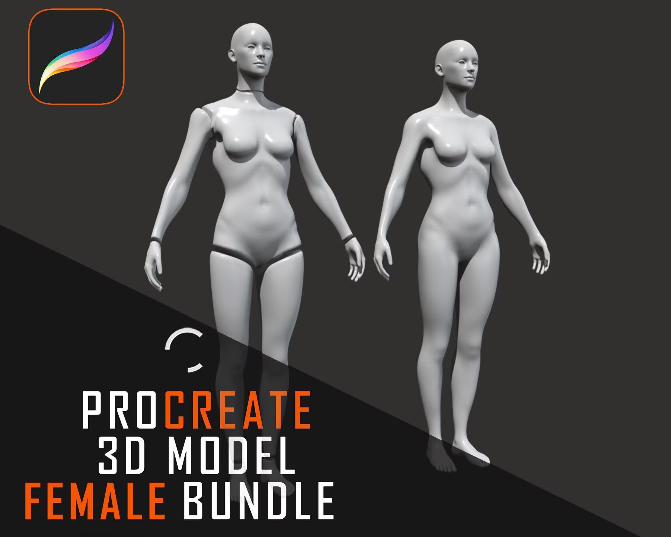 Procreate 3D Model SUPER Body bundle Male and Female Low-poly 3D model_1