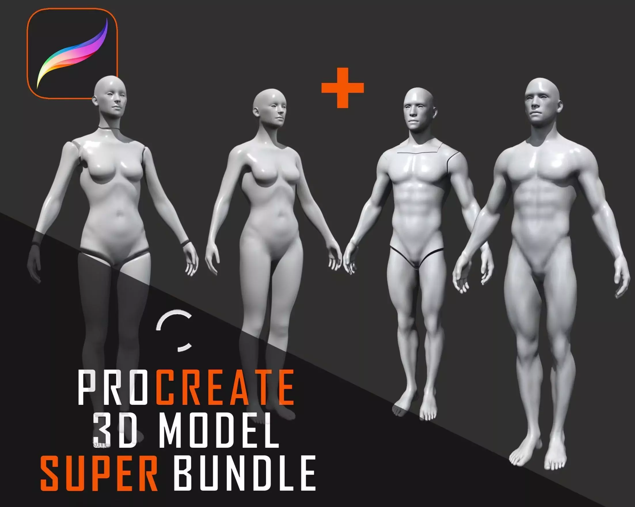 Procreate 3D Model SUPER Body bundle Male and Female Low-poly 3D model_0