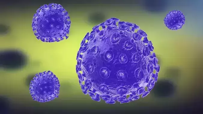 Virus cells Streptococcus molecules infectious medical 3D model
