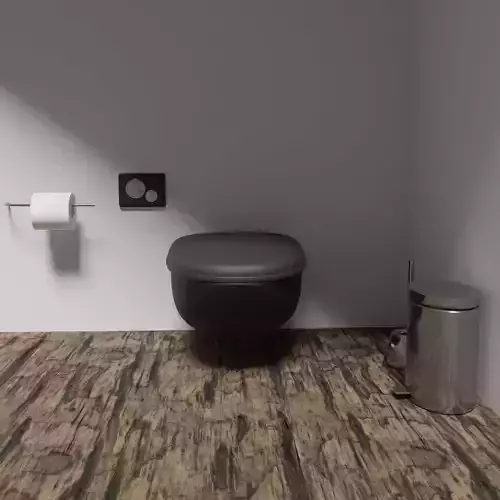 Modern toilet