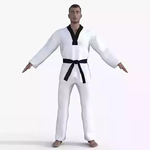 Realistic Karate Man