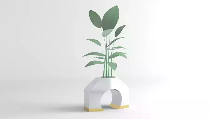 White Ceramic Planter