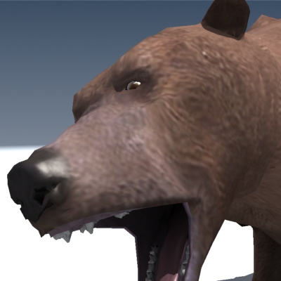 Grizzly Bear Rigged 3D model_8