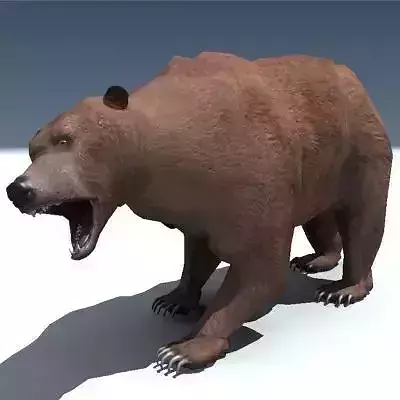 Grizzly Bear Rigged 3D model Grizzly Bear Rigged 3D model
