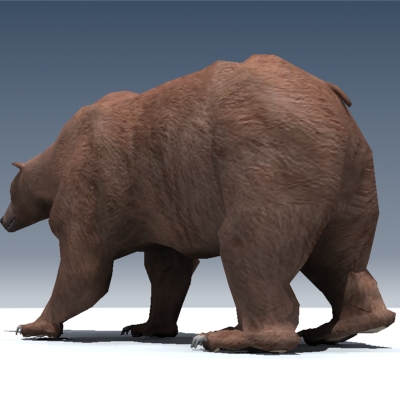 Grizzly Bear Rigged 3D model_6
