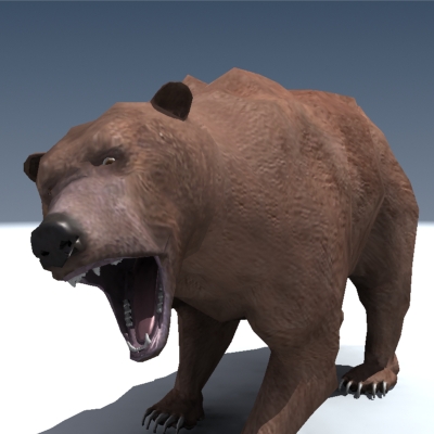 Grizzly Bear Rigged 3D model_20