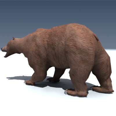 Grizzly Bear Rigged 3D model_2