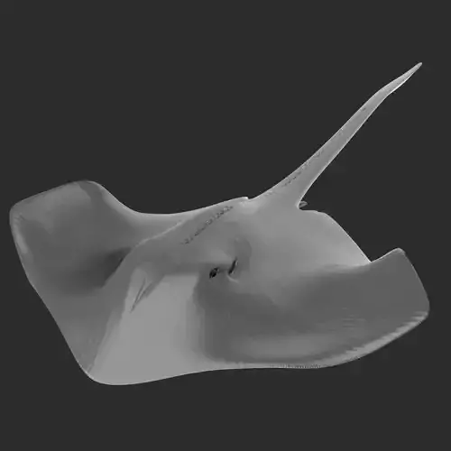 Stingray Low-poly 3D model