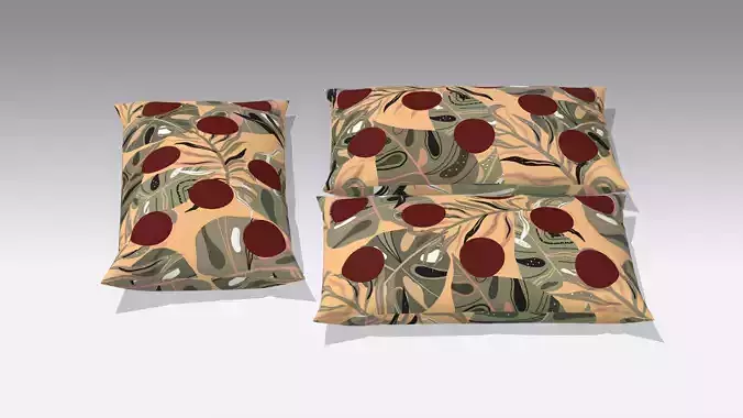 Pillow Cushions