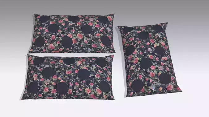 Pillow Cushions