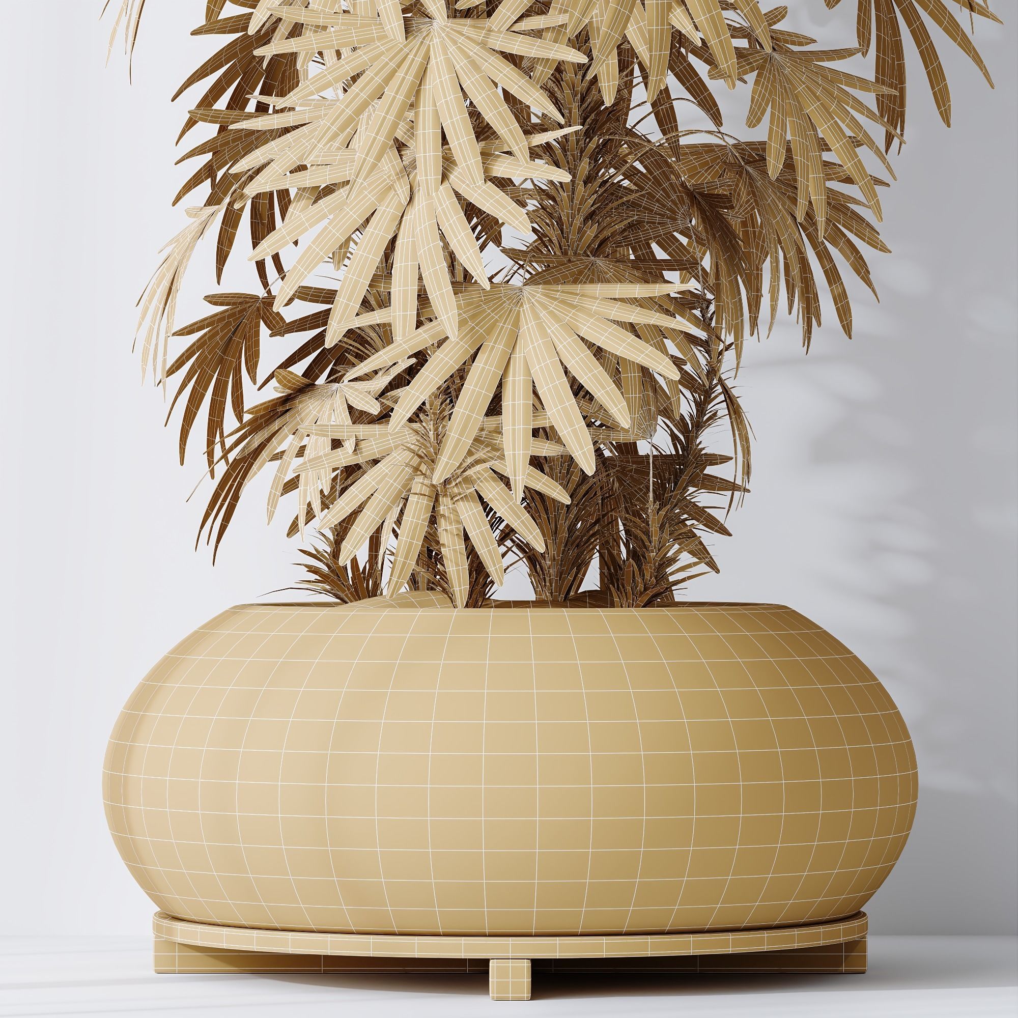 HQ Plants Rhapis Excelsa Lady Palm Hydro Care 3D model_5