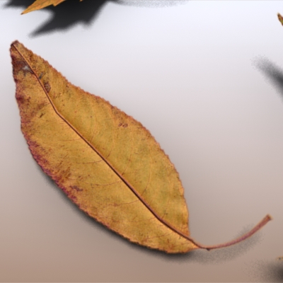 Autumn Leaves 3D model_11