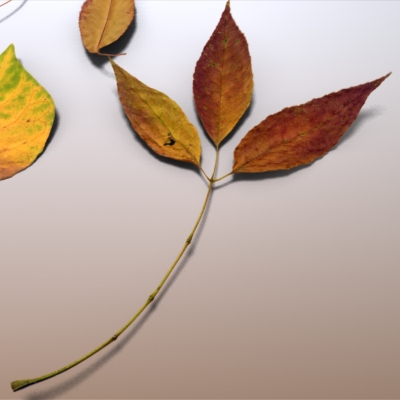Autumn Leaves 3D model_10