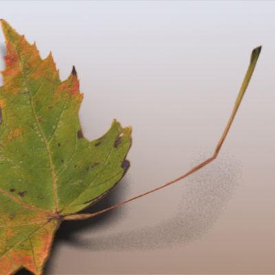 Autumn Leaves 3D model_4