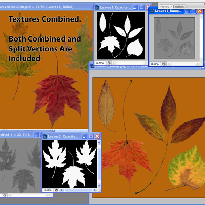 Autumn Leaves 3D model_12
