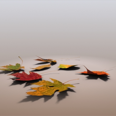 Autumn Leaves 3D model_2