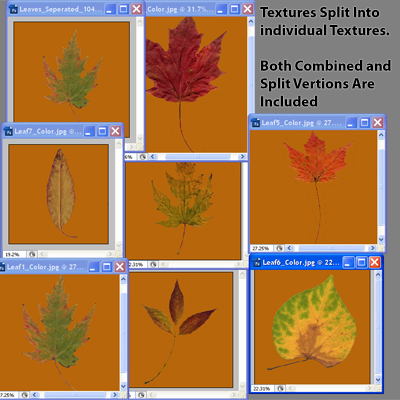 Autumn Leaves 3D model_13