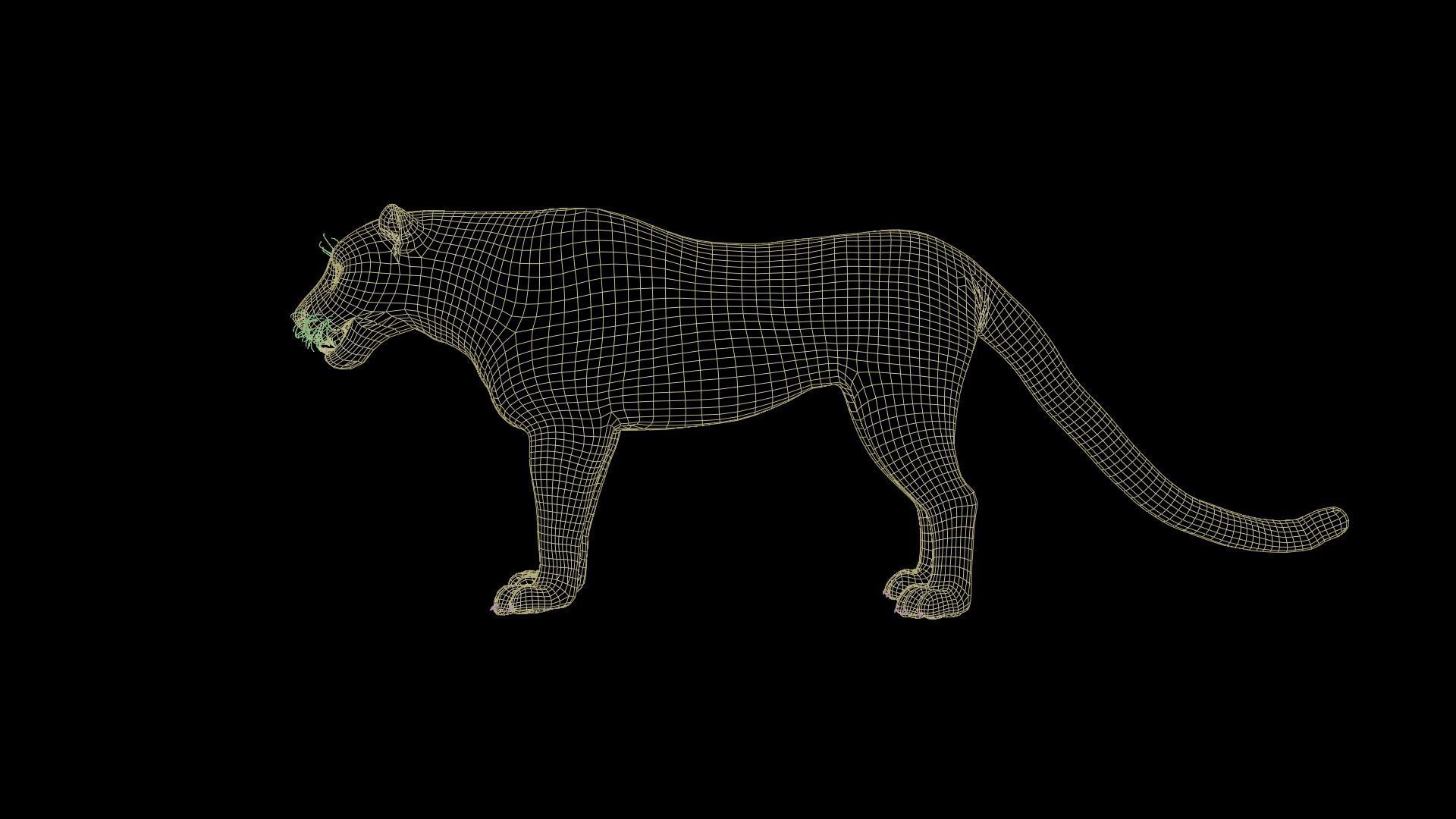 Leopard Animated Low-poly 3D model_13
