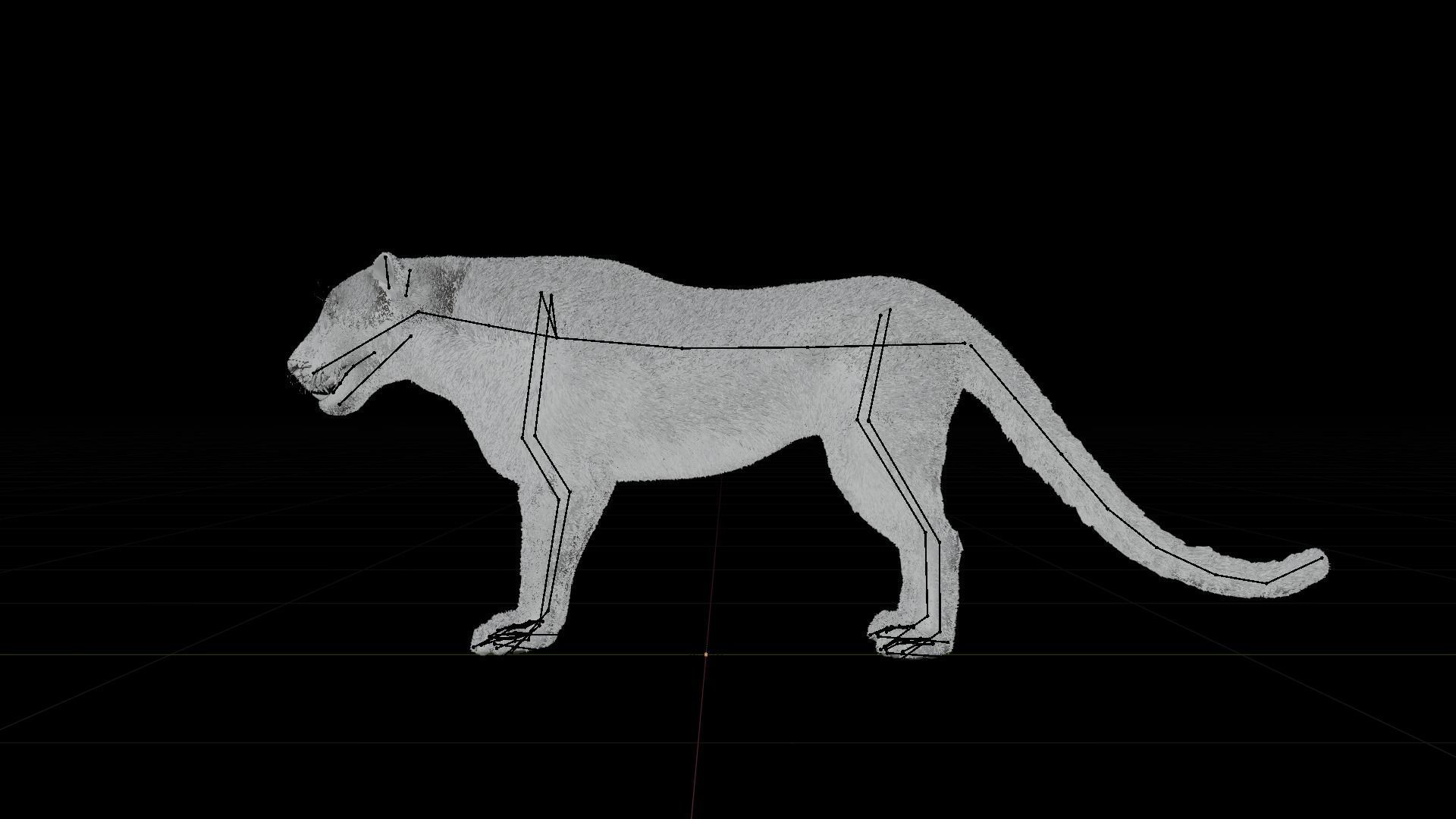 Leopard Animated Low-poly 3D model_17