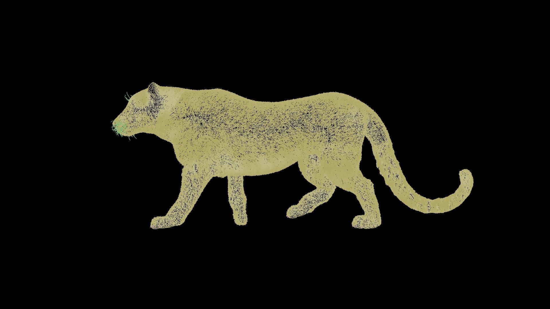 Leopard Animated Low-poly 3D model_12