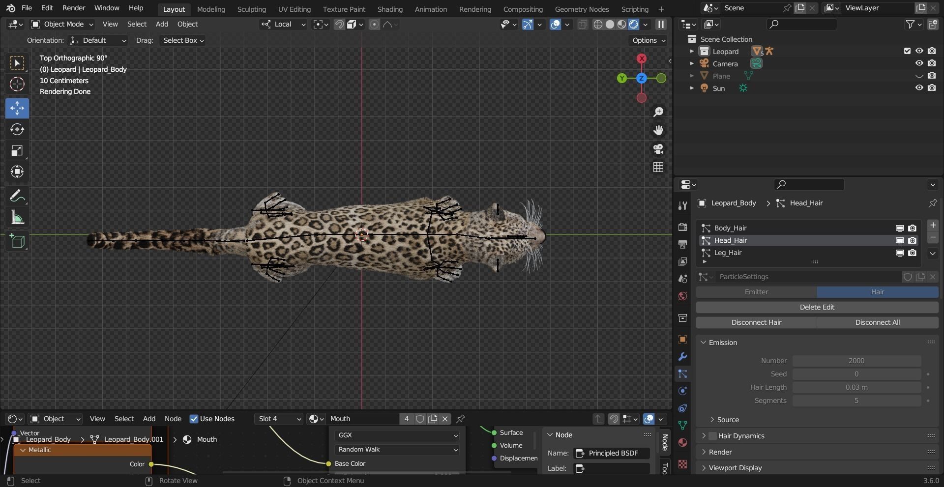 Leopard Animated Low-poly 3D model_19