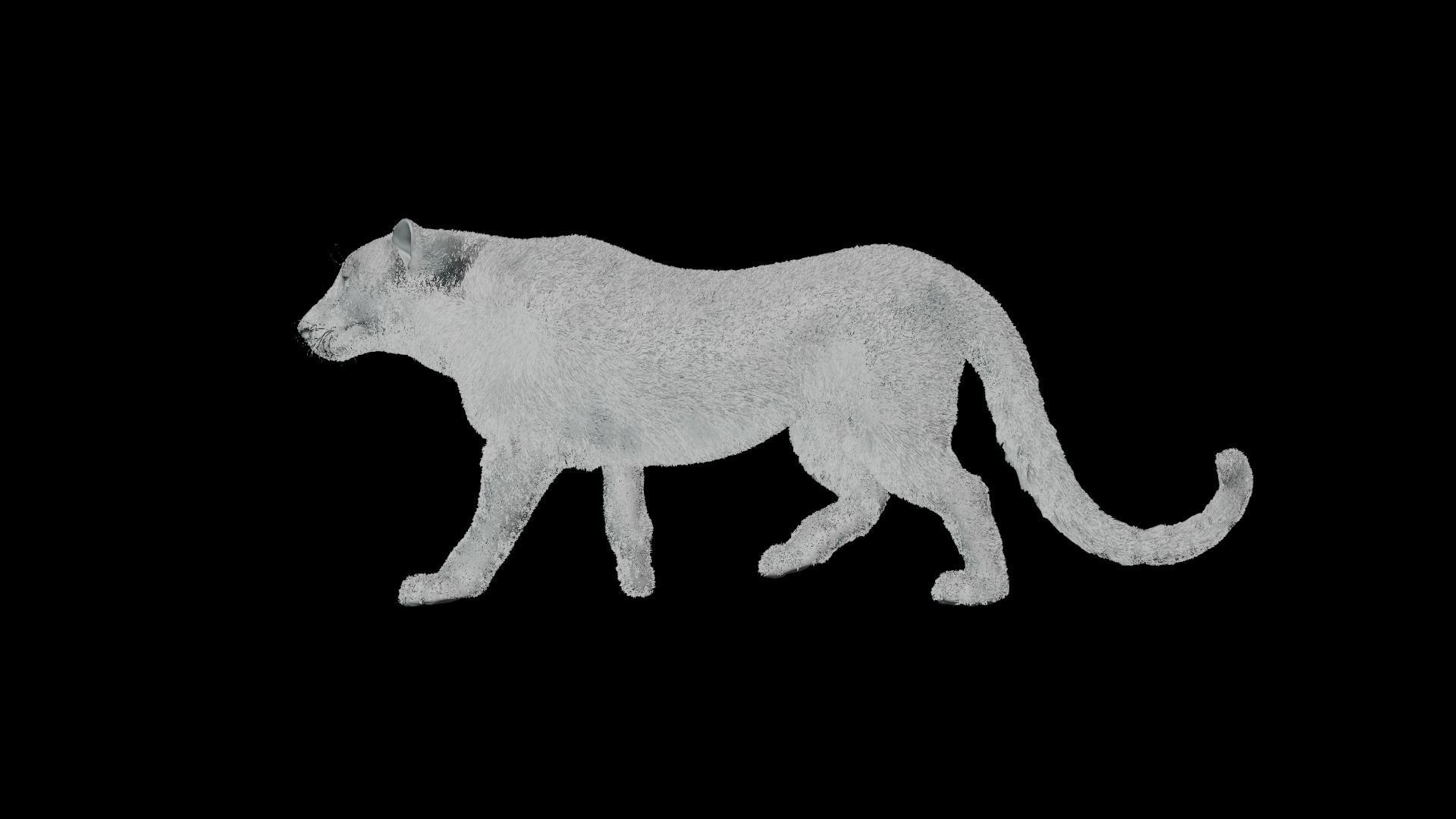 Leopard Animated Low-poly 3D model_11
