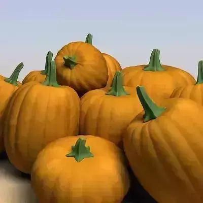 Pumpkins 3D model