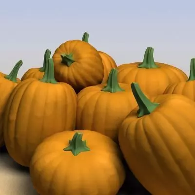 Pumpkins 3D model_0