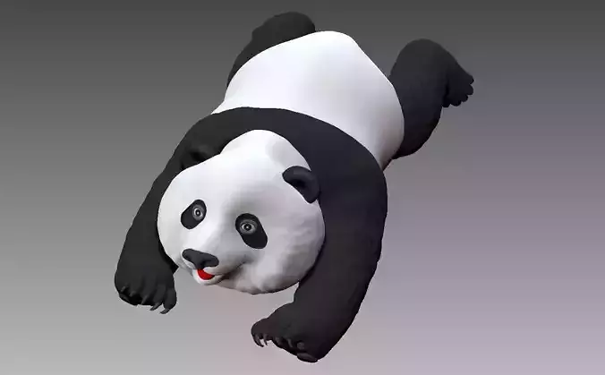 Panda 3D model B