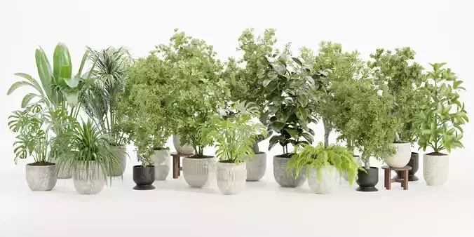 3D Plants Collection-Blender 