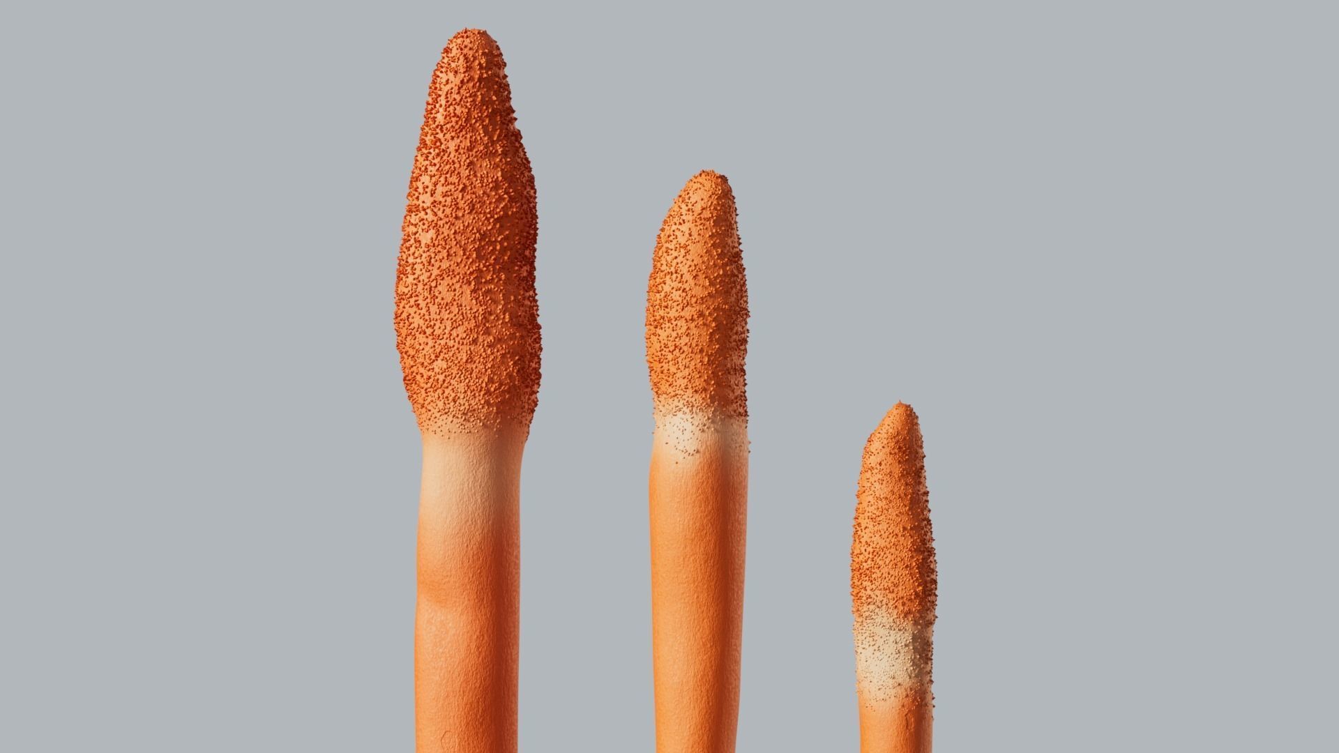 Cordyceps militaris mushroom 3D model_7