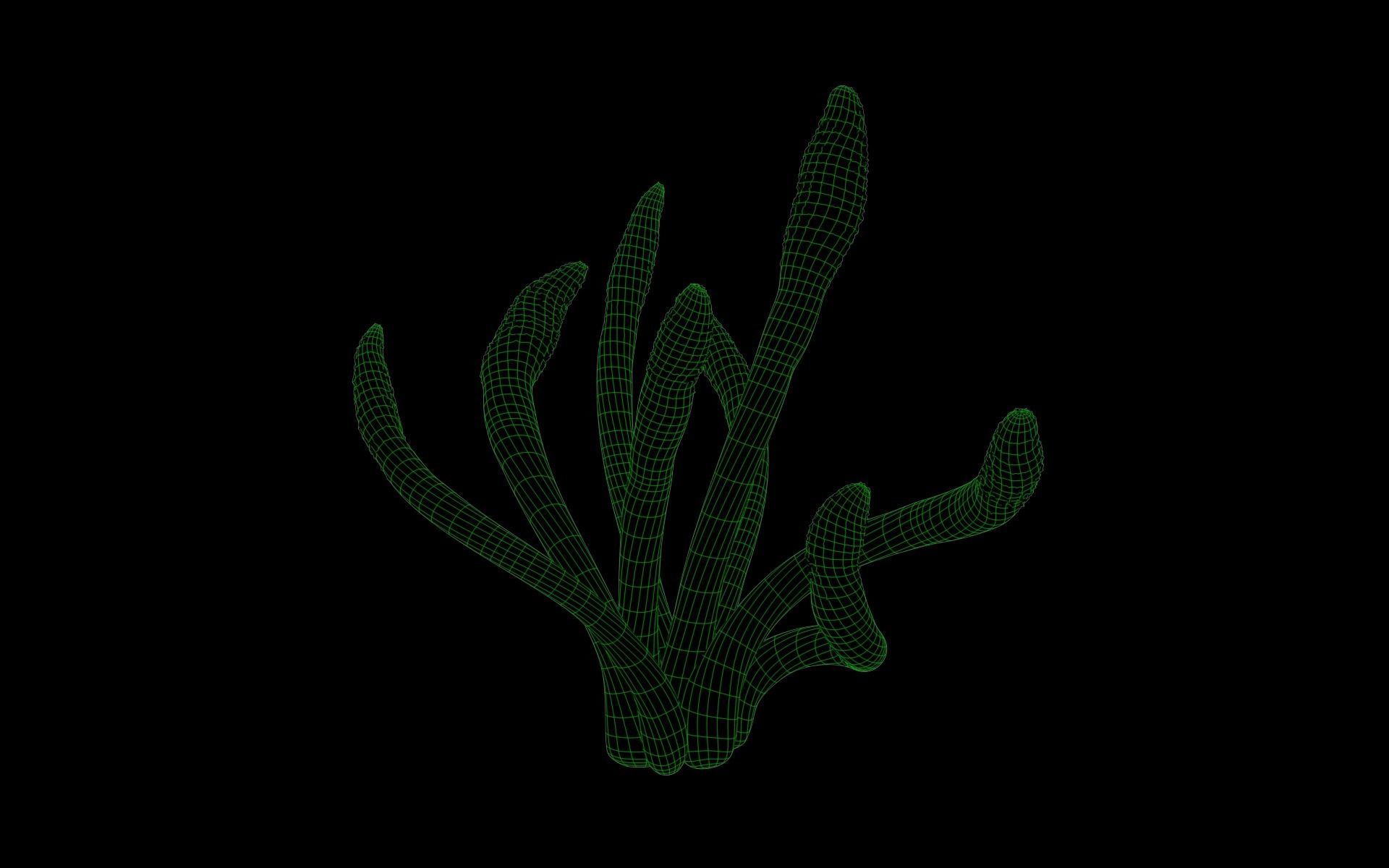 Cordyceps militaris mushroom 3D model_1