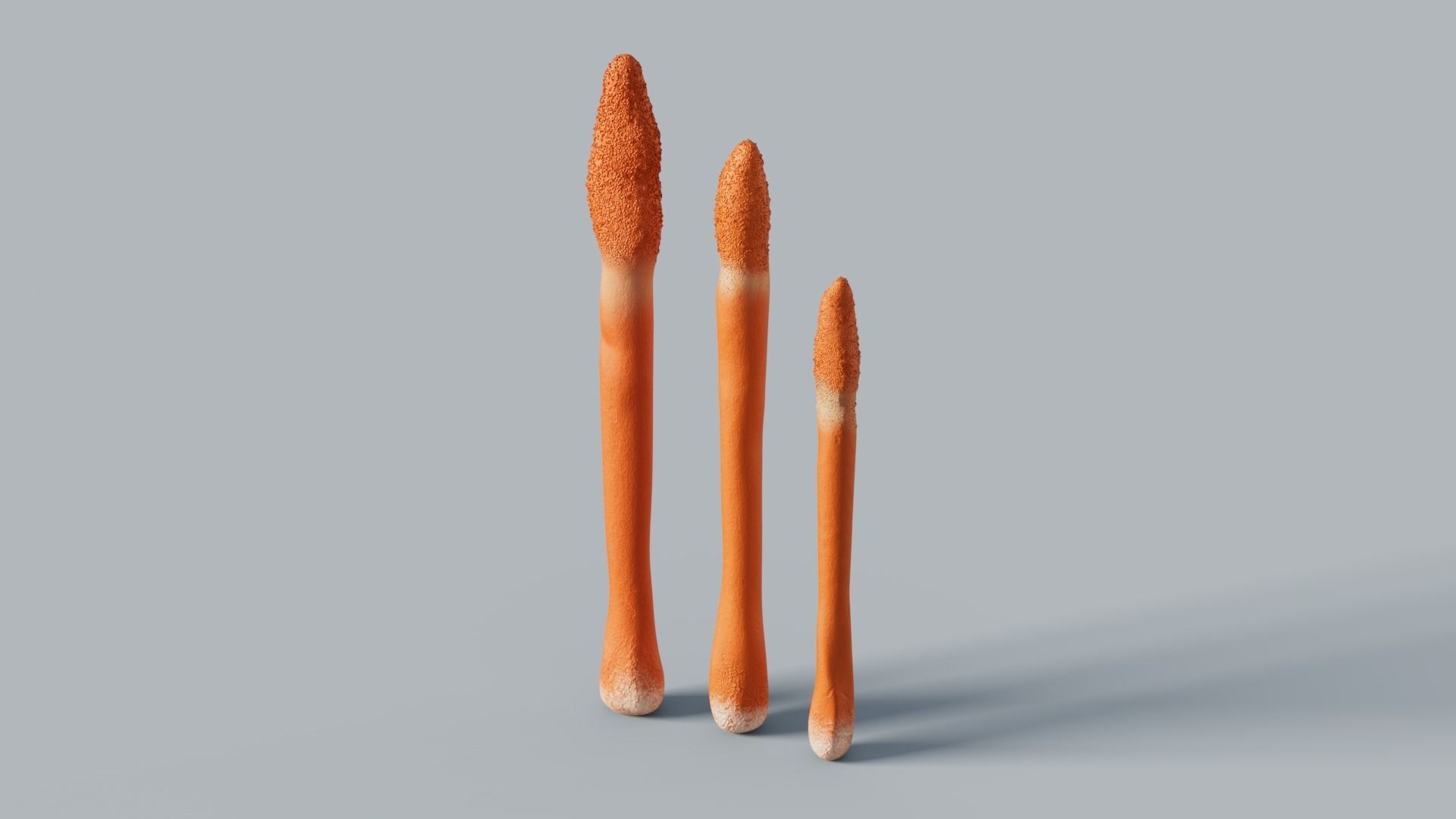 Cordyceps militaris mushroom 3D model_5