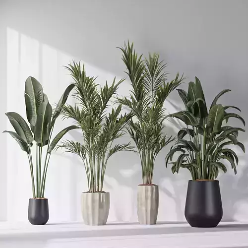 Bird Of ParadiseBird and Areca Majesty Vase 12