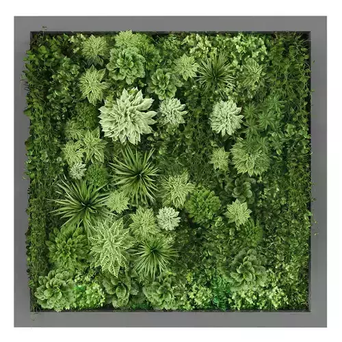 Vertical garden 236