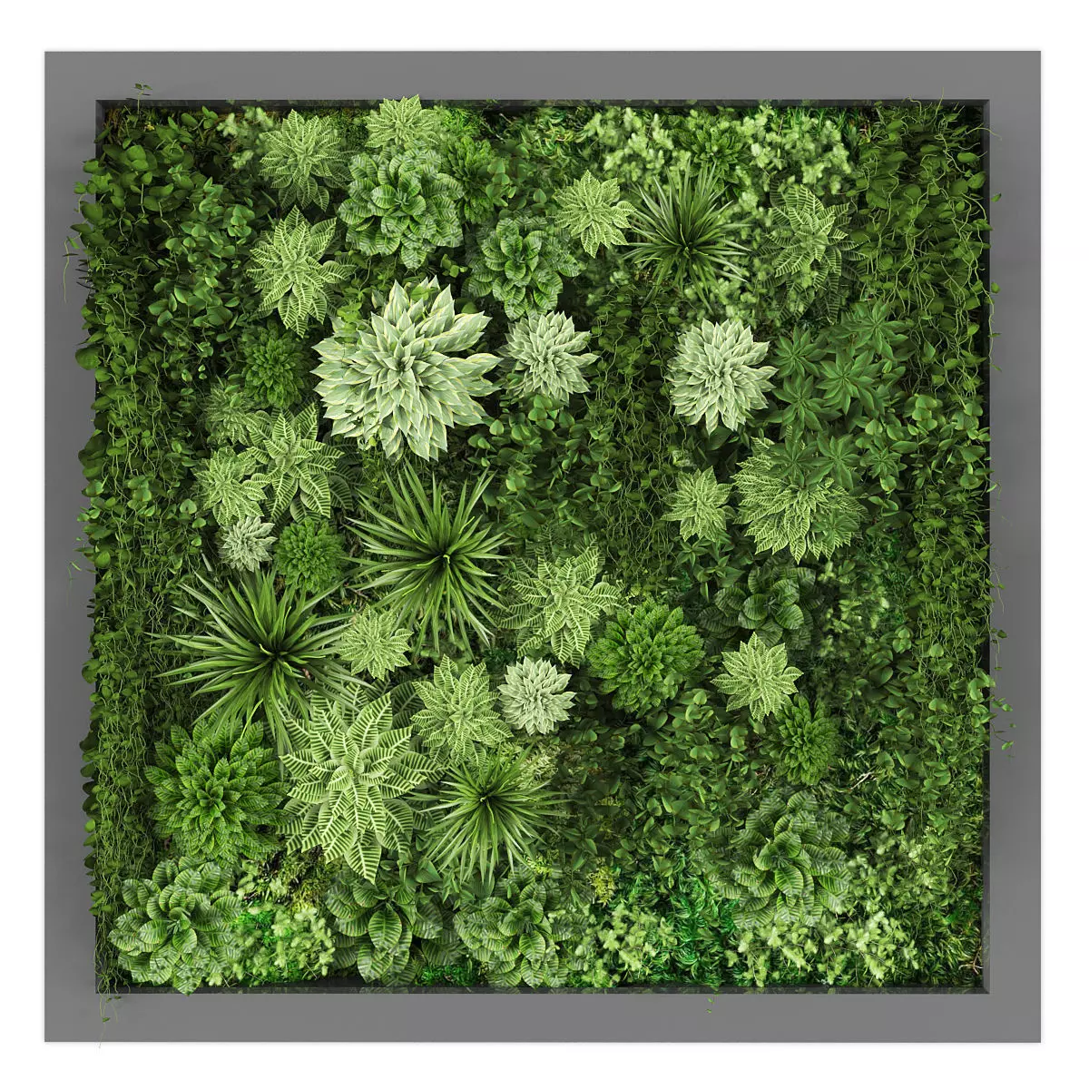 Vertical garden 236 Low-poly 3D model_0