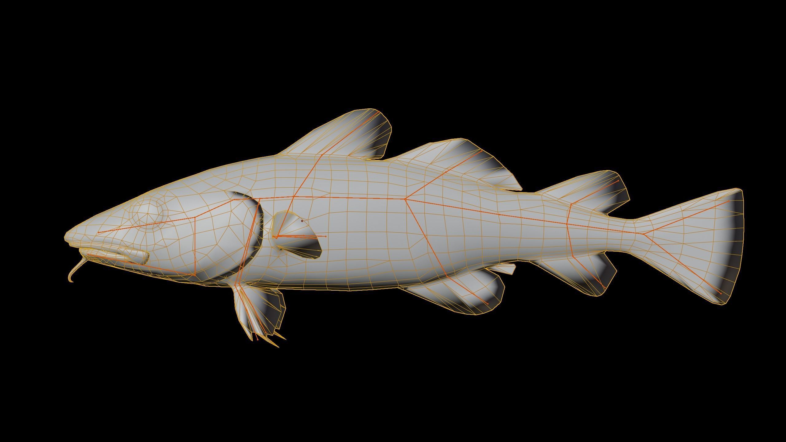 Cod Atlantic - Saltwater Fish Low-poly 3D model_21