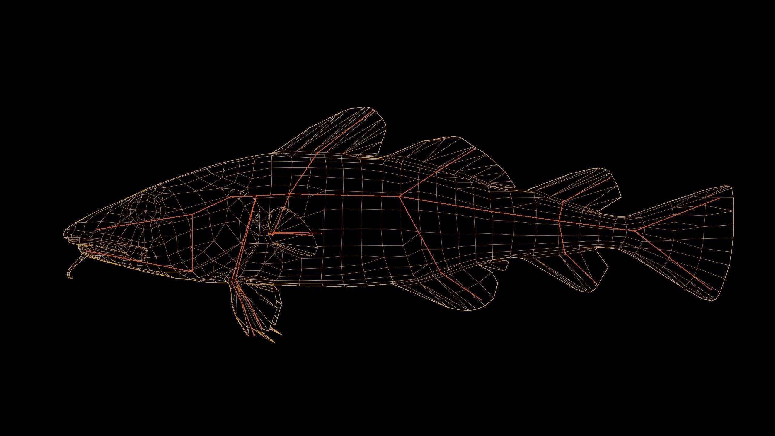 Cod Atlantic - Saltwater Fish Low-poly 3D model_20