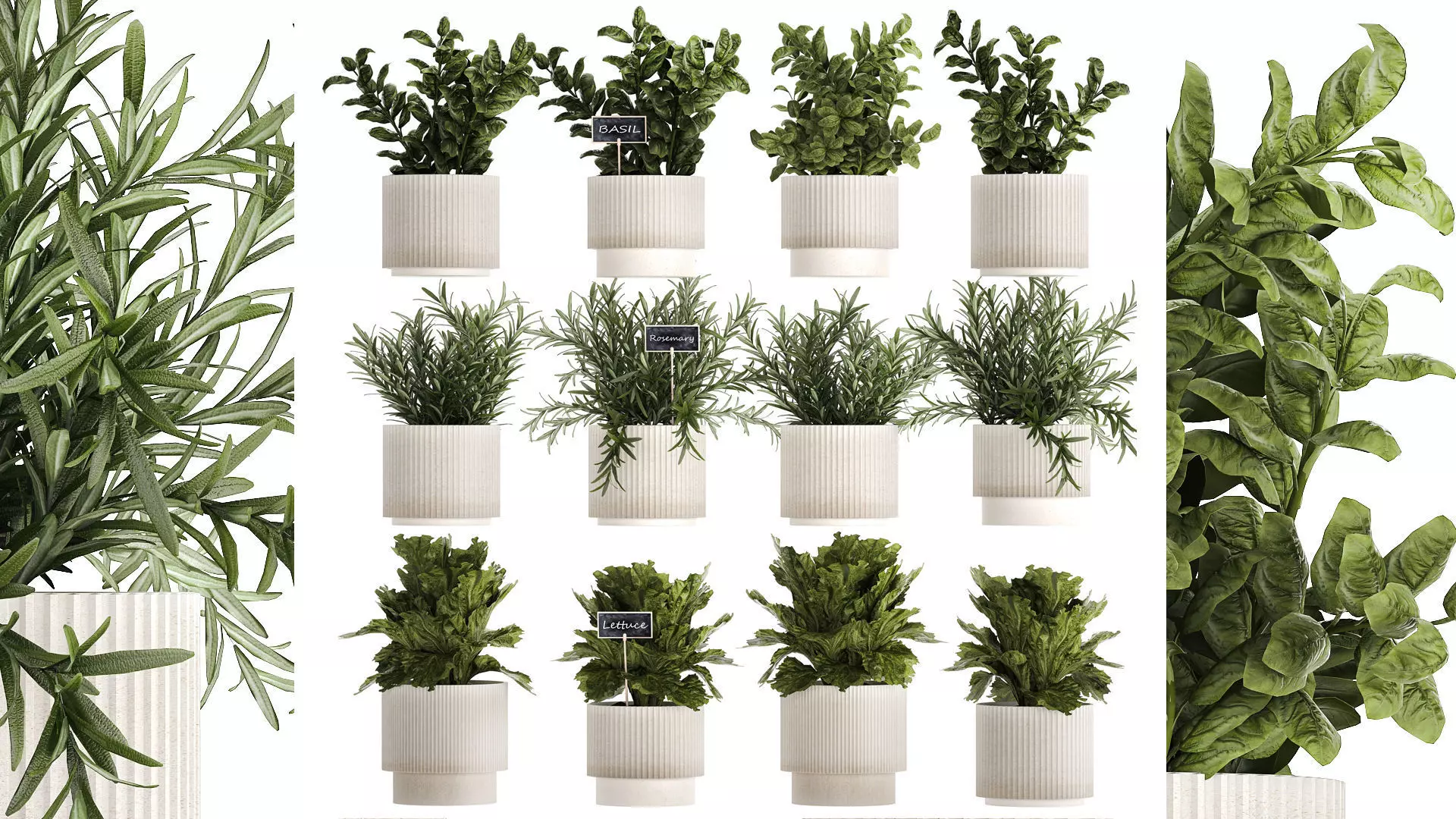 Kitchen Garden Pot Vegetables Basil Herbs Rosemary 1431 3D model