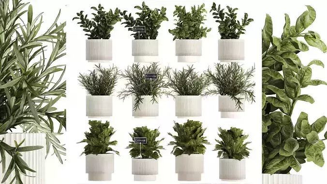 Kitchen Garden Pot Vegetables Basil Herbs Rosemary 1431 3D model