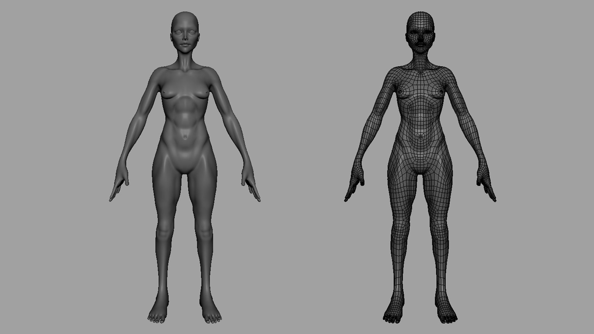 Thin Couple Basemesh 3D Model Collection_13
