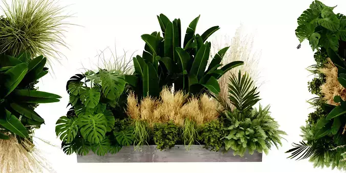 Collection plant vol 539 - blender model 